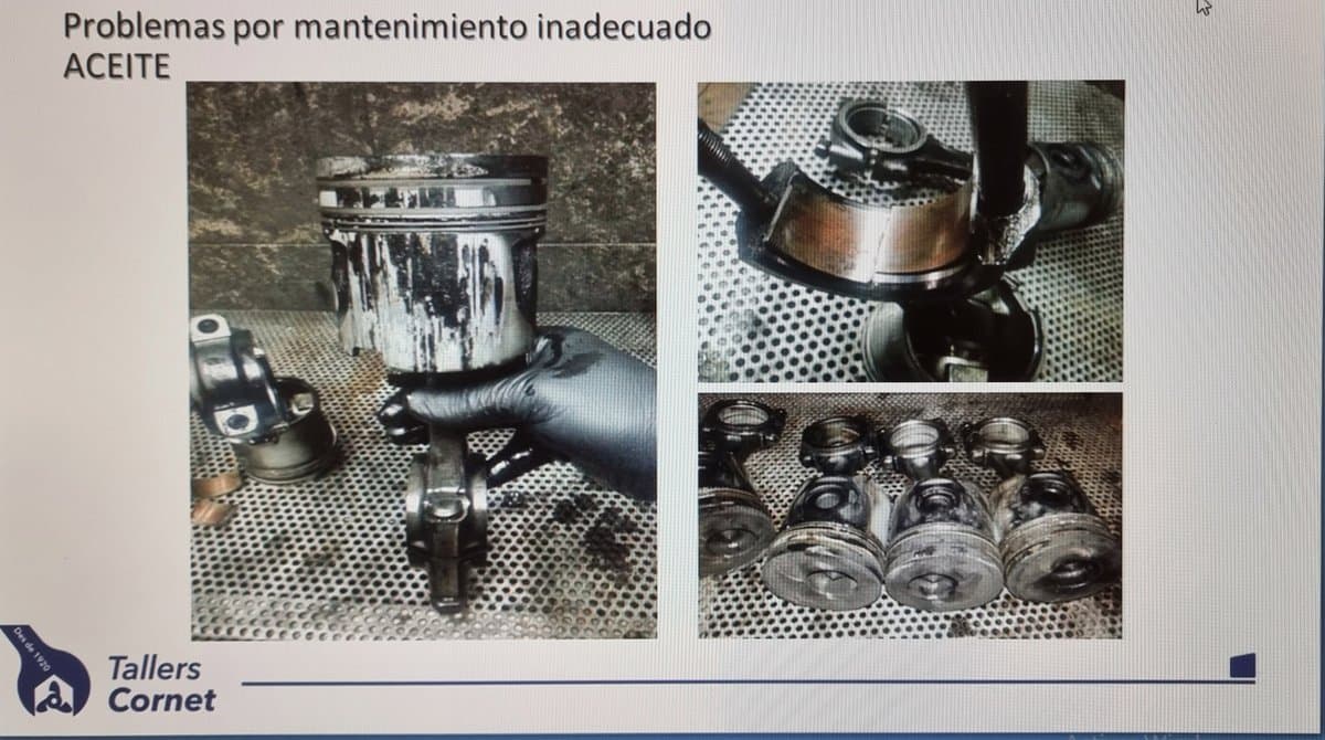 Imagen de Capitol 10 - 2012