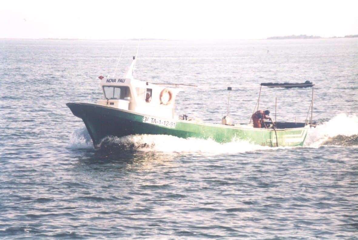 Imagen de Capítulo 6