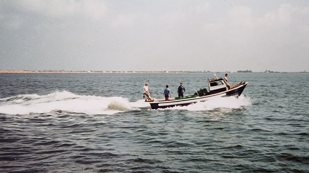 Imagen de Capitol 6 - 1991