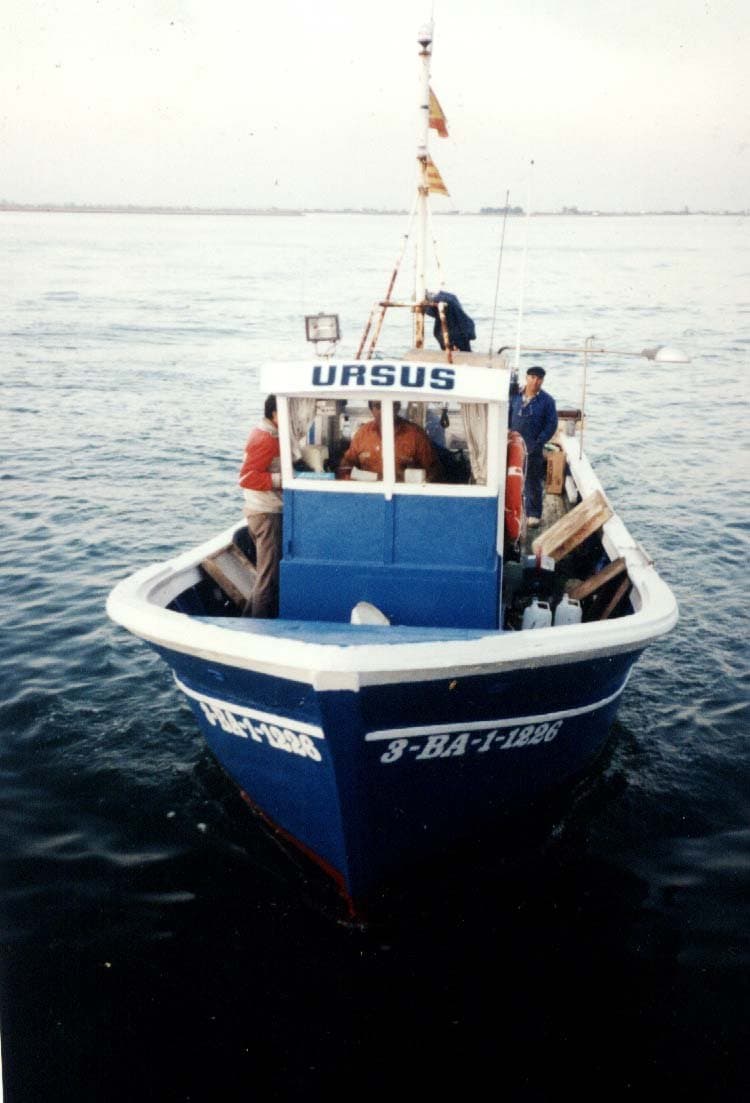 Imagen de Capitol 6 - 1994