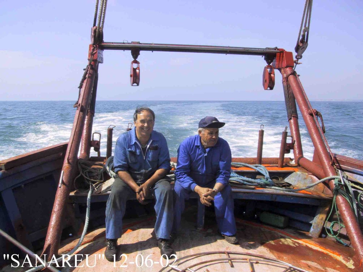 Imagen de Capitol 8 - 2002